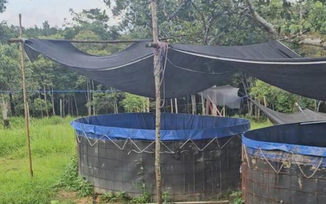 SISTEM SMART FARMING TERPADU (SMART CITY)