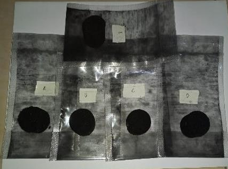 BIOBRIKET KULIT SINGKONG DAN LUMPUR (ENERGY)