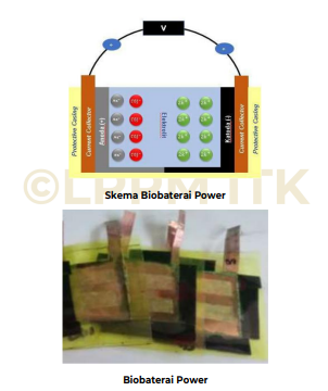 PEMANFAATAN LIMBAH TKKS DI KAWASAN IKN SEBAGAI MATERIAL ELEKTRODA BIO-BATERAI BERBASIS LIMBAH KELAPA SAWIT (POWER) (ENERGI TERBARUKAN)