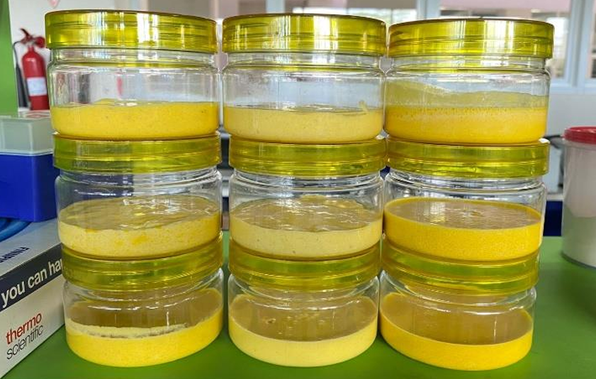 HANDBODY LOTION KARAGENAN (FOOD AND AGRICULTURE)