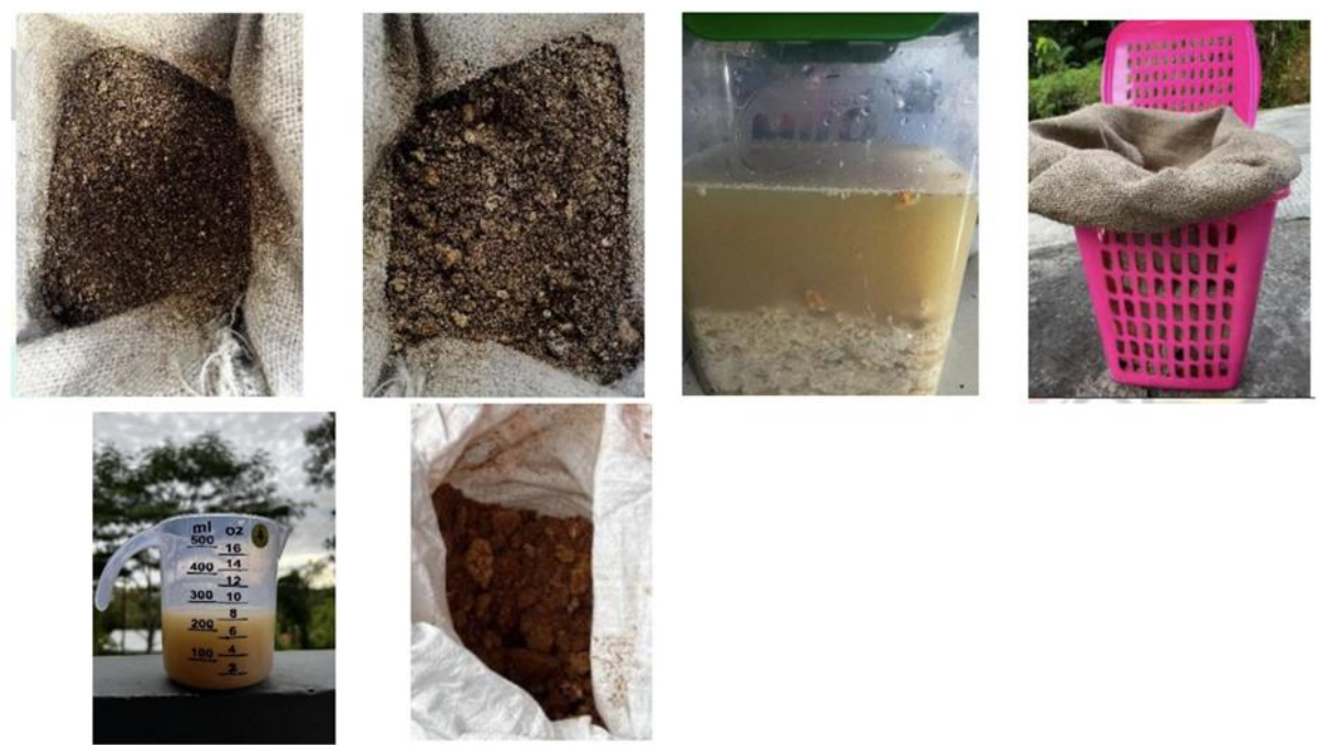 PEMANFAATAN LIMBAH BAGLOG JAMUR TIRAM MENJADI KOMPOS DENGAN MOL NASI BASI SEBAGAI BIOAKTIVATOR