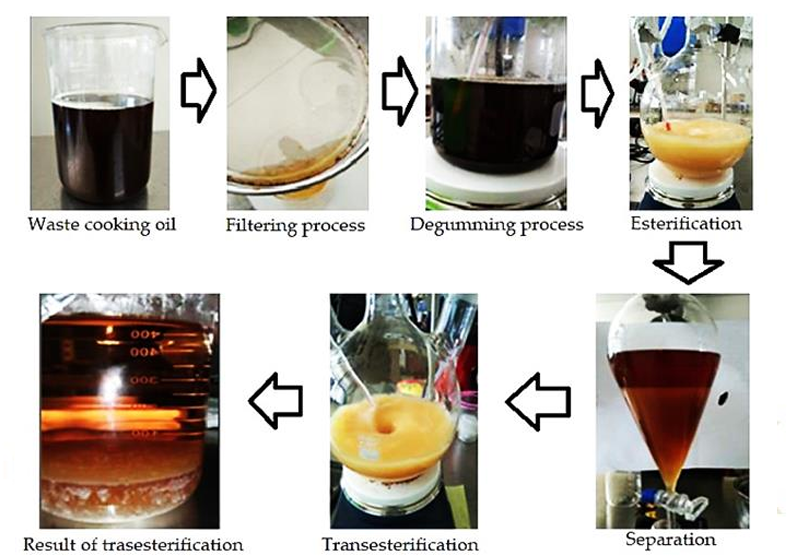 BIODIESEL RAMAH LINGKUNGAN (ENERGY)